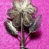 Vintage Portugal sterling silver two tone flower pin broches - Image 5